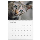 HAMbyWG - Prachtige katten Kalender (Jan 2026)