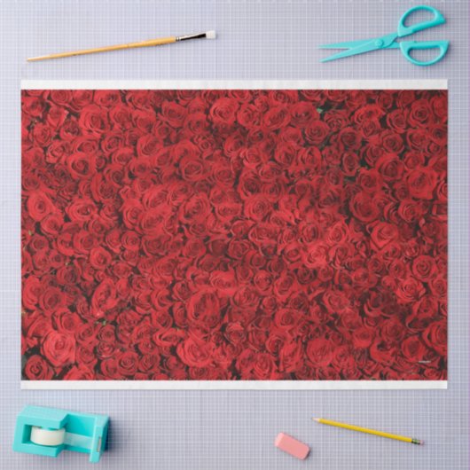 HAMbyWG Red Roses Tissuepapier (Craft)