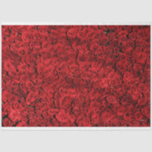 HAMbyWG Red Roses