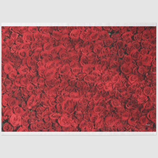 HAMbyWG Red Roses Tissuepapier (Voorkant)