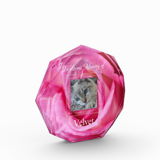 HAMbyWG Roze Rose Acrylfotoblok Fotoblokken (Links)