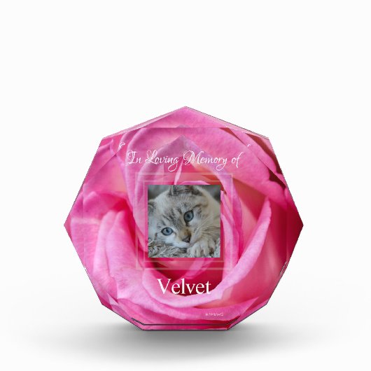 HAMbyWG Roze Rose Acrylfotoblok Fotoblokken (Voorkant)