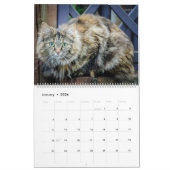 HAMbyWG- Rustieke katten & kittens Kalender (Jan 2026)