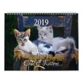 HAMbyWG- Rustieke katten & kittens Kalender (Hoes)