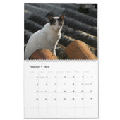 HAMbyWG - Rustische katten & Kittens 2 Kalender (Feb 2026)