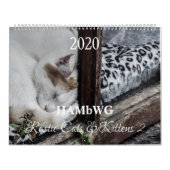 HAMbyWG - Rustische katten & Kittens 2 Kalender (Hoes)