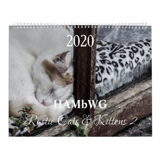HAMbyWG - Rustische katten & Kittens 2 Kalender (Hoes)