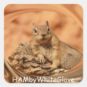 HAMbyWG - Stickers - Eekhoorn in de Logo van de we