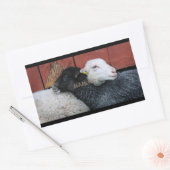HAMbyWG- Stickers - Zwarte schaap Witte schaap (Envelop)