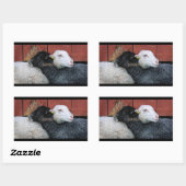 HAMbyWG- Stickers - Zwarte schaap Witte schaap (Vel)