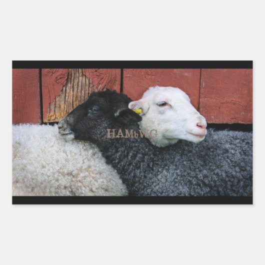 HAMbyWG- Stickers - Zwarte schaap Witte schaap (Voorkant)