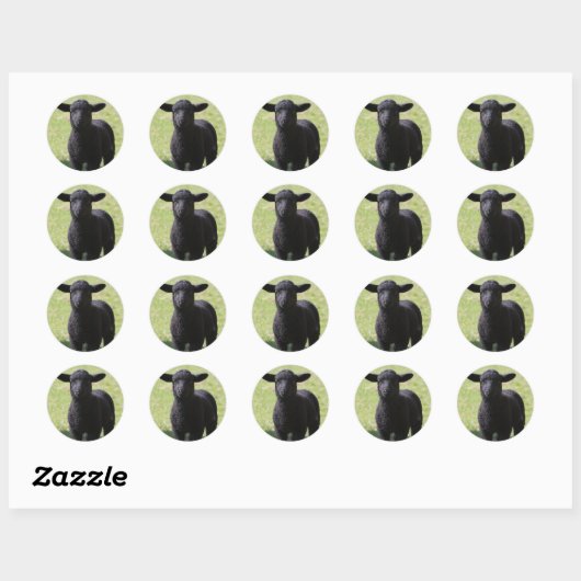 HAMbyWG - Stickers - Zwarte schapen (Vel)