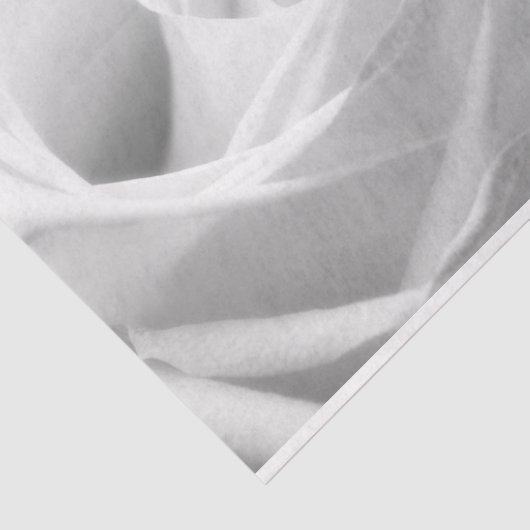 HAMbyWG - Zwart-wit, witte roze Tissuepapier (Detail)