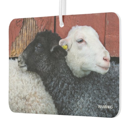 HAMbyWG - Zwarte en witte schapen Luchtverfrisser (Links)