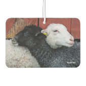 HAMbyWG - Zwarte en witte schapen Luchtverfrisser (Voorkant)