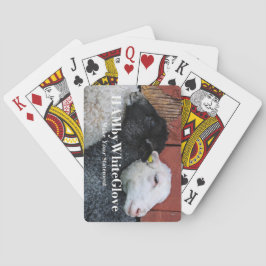 HAMbyWhiteGlove - Spelkaarten - zwart-wit Speelkaarten