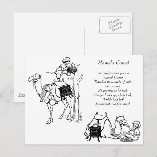 Hamel's Camel Limerick Briefkaart (Voorkant / Achterkant)