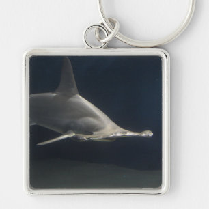 Hamerhaai Sleutelhanger