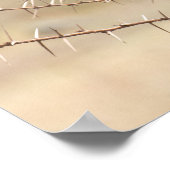 Hamerkop in Thorns - Afrikaans Poster (Hoek)