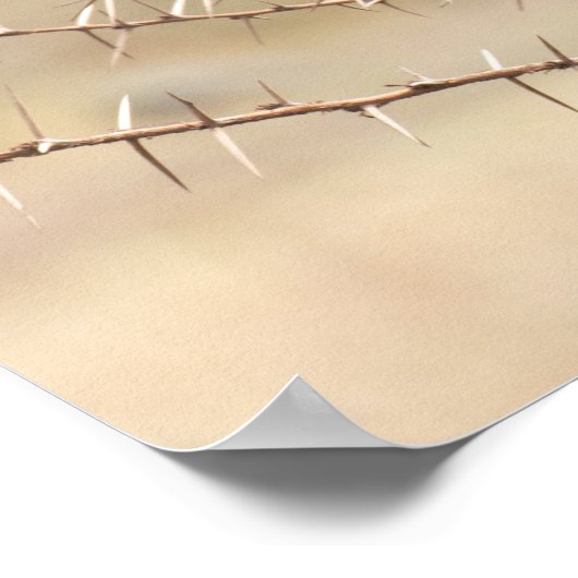 Hamerkop in Thorns - Afrikaans Poster (Hoek)