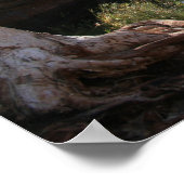 Hamersley Gorge, Karijini National Park - Poster (Hoek)