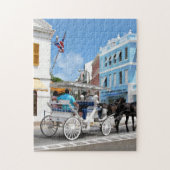 Hamilton Bermuda Carriage Ride Legpuzzel (Verticaal)