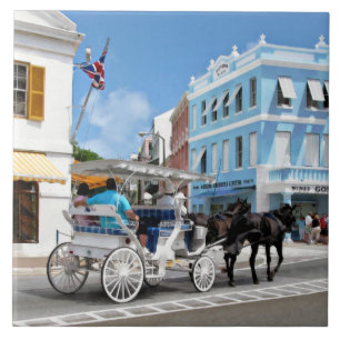 Hamilton Bermuda Koetsrit Tegeltje