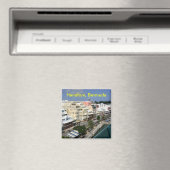 Hamilton bermuda magneet (Insitu (Vaatwasser))