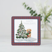 Hamilton Jurk Oude Tartan Gelukkige Pawholidays Ho (Staand voorkant)