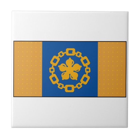 Hamilton Ontario Canada Tegeltje (Voorkant)