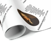 Hamilton-systeem is niet ideaal voor een goede pri cadeaupapier (Rol Hoek)