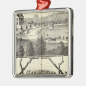 Hamiltonisch Boerderij in Middletown, NJ Metalen Ornament (Links)