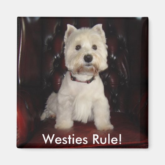 Hamish McTavish Westies Regel Koelkast Magnet (Voorkant)