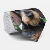 Hamish Stropdas (Opgerold)