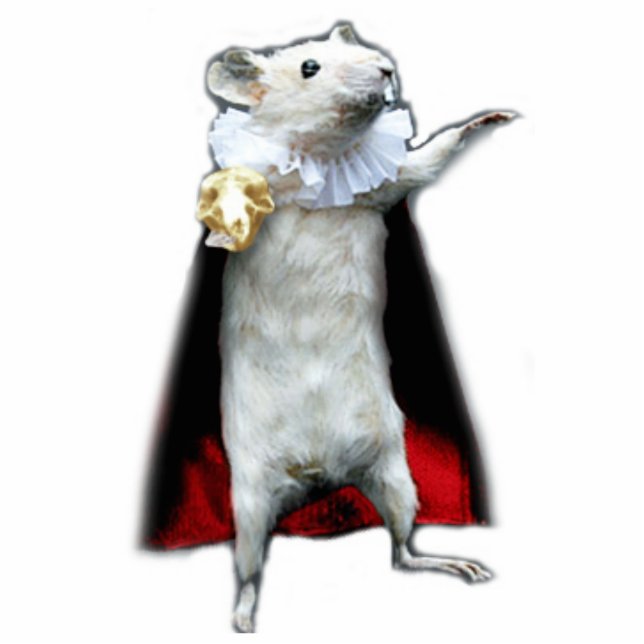 Hamlet von Schnitzel standbeeld Staand Fotobeeldje (Voorkant)