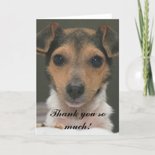 Hamlin - Heel erg bedankt! Bedankkaart