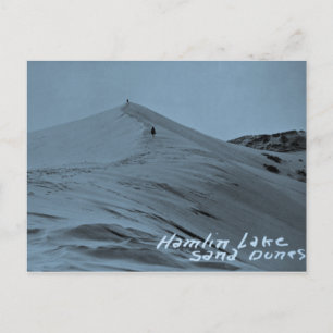 Hamlin Lake Sand Dunes, Michigan Briefkaart