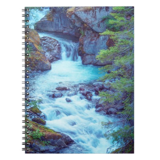 Hamma Hamma Creek Notitieboek (Voorkant)