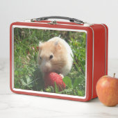 Hammen met aardbeien Metaal Lunchbox (In situ)