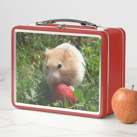Hammen met aardbeien Metaal Lunchbox (In situ)