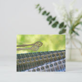 Hammer Dulcimer Mallets Briefkaart (Staand voorkant)