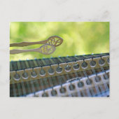 Hammer Dulcimer Mallets Briefkaart (Voorkant)