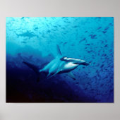 Hammerhead Shark Animal Swim Destiny's Destiny Poster (Voorkant)