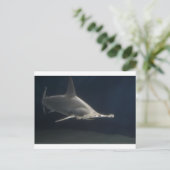 Hammerhead Shark Briefkaart (Staand voorkant)
