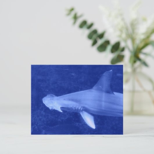 Hammerhead Shark Briefkaart (Staand voorkant)