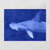 Hammerhead Shark Briefkaart (Voorkant)
