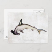 Hammerhead Shark Briefkaart (Voorkant / Achterkant)