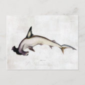 Hammerhead Shark Briefkaart (Voorkant)