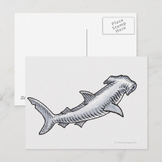 Hammerhead Shark Briefkaart (Voorkant / Achterkant)