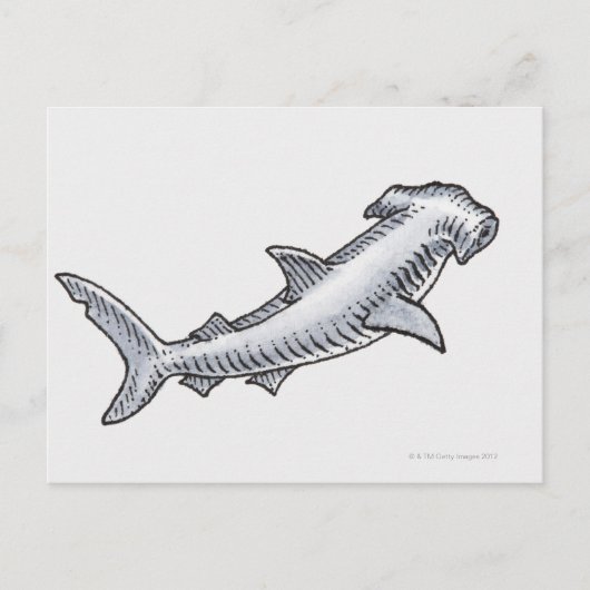 Hammerhead Shark Briefkaart (Voorkant)